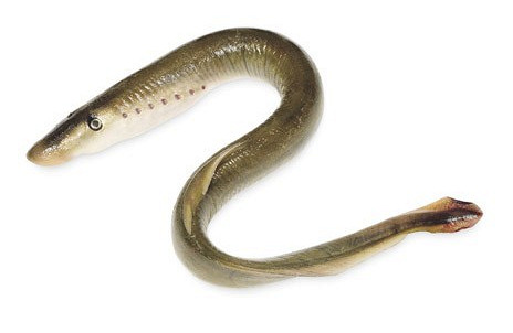 Изображение материала