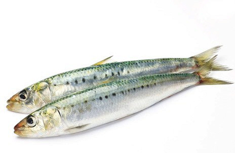 Изображение материала