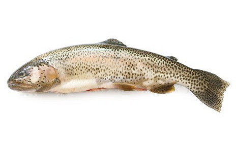 Изображение материала