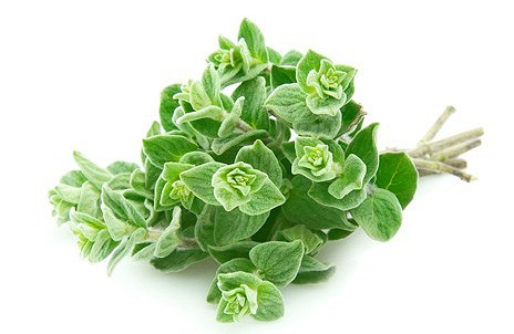 Изображение материала