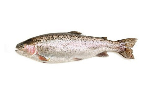 Изображение материала