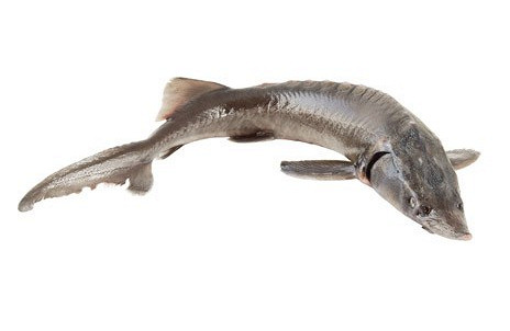 Изображение материала