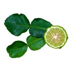 Изображение материала