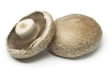 Изображение материала