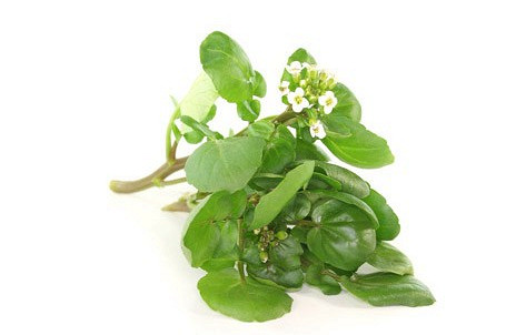 Изображение материала