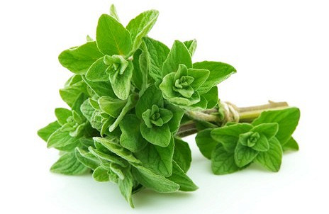 Изображение материала