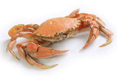 Изображение материала