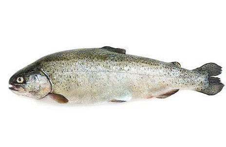 Изображение материала