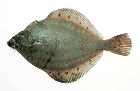 Изображение материала