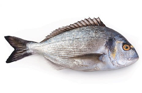 Изображение материала