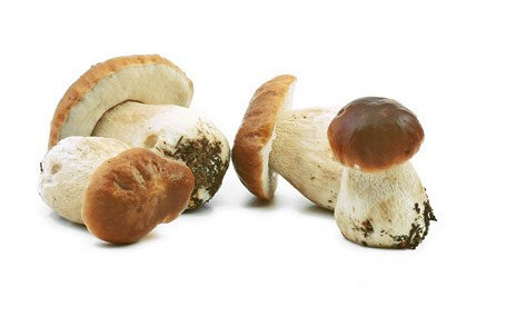 Изображение материала