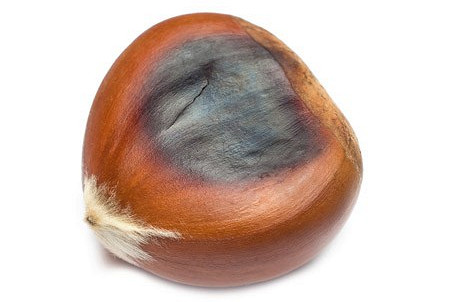 Изображение материала