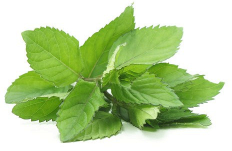 Изображение материала