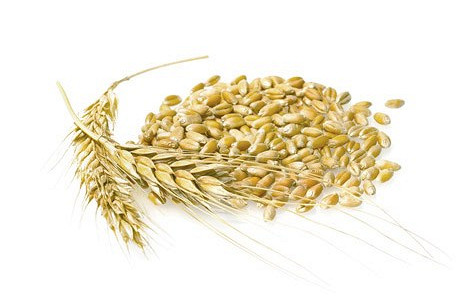 Изображение материала