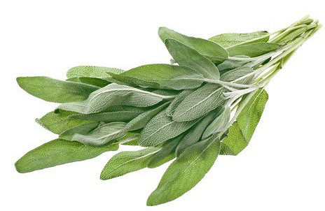 Изображение материала