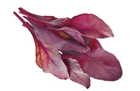 Изображение материала