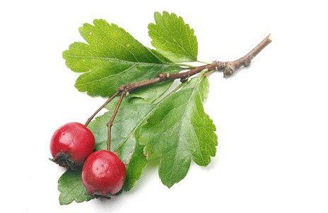 Изображение материала