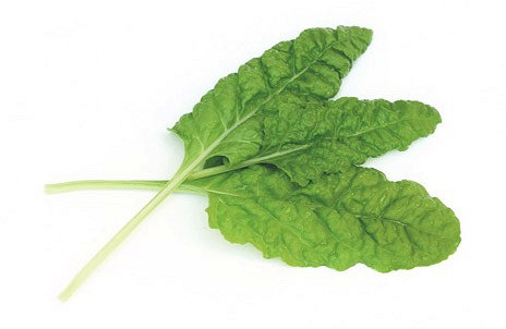 Изображение материала