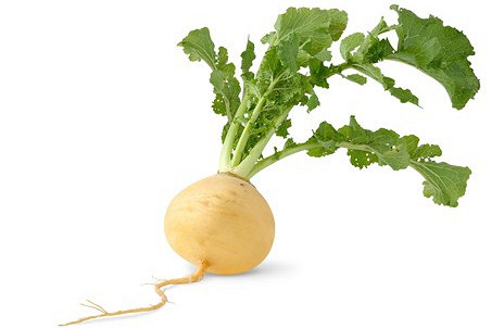 Изображение материала