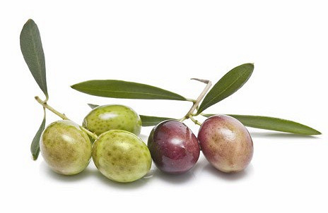 Изображение материала