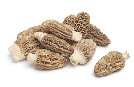 Изображение материала