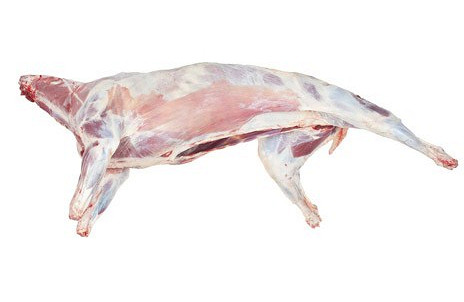 Изображение материала