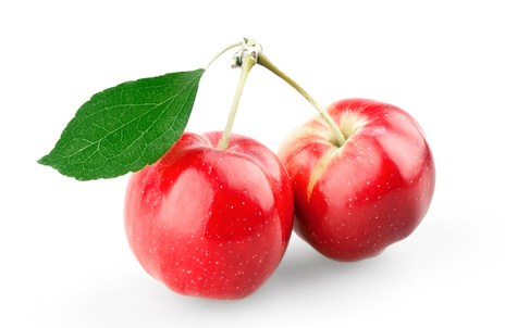 Изображение материала