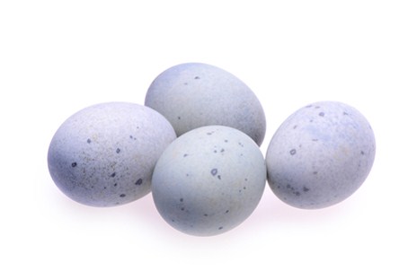 Изображение материала