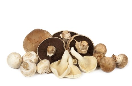 Изображение материала