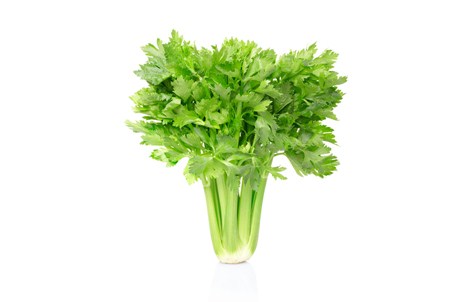 Изображение материала