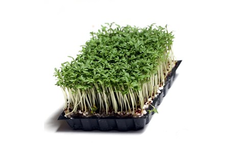 Изображение материала