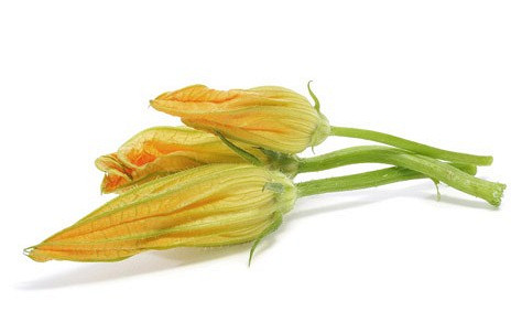 Изображение материала