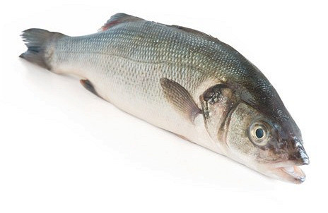 Изображение материала