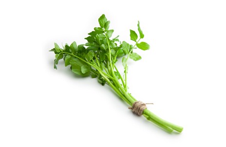 Изображение материала