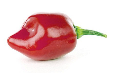 Изображение материала