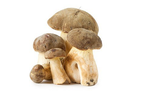 Изображение материала