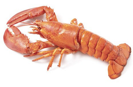 Изображение материала