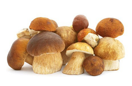 Изображение материала