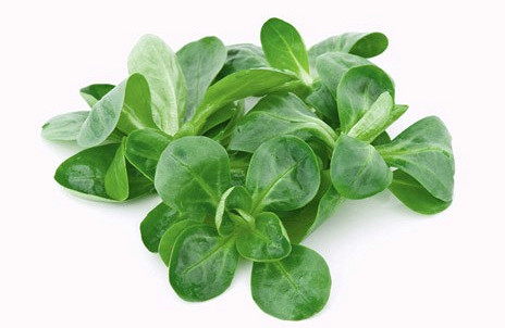 Изображение материала