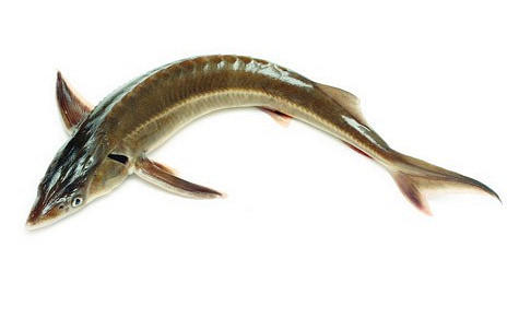 Изображение материала