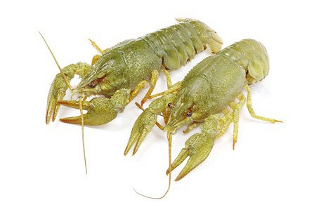 Изображение материала