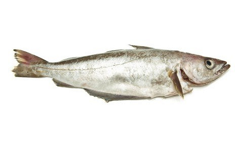 Изображение материала