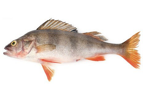 Изображение материала