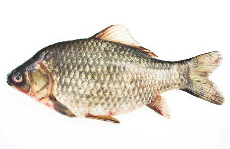 Изображение материала