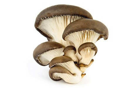 Изображение материала