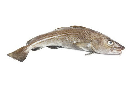 Изображение материала