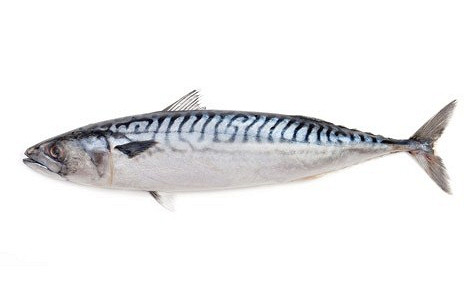 Изображение материала