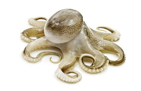 Изображение материала