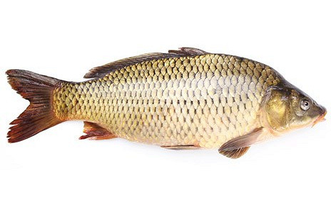 Изображение материала