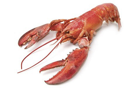 Изображение материала